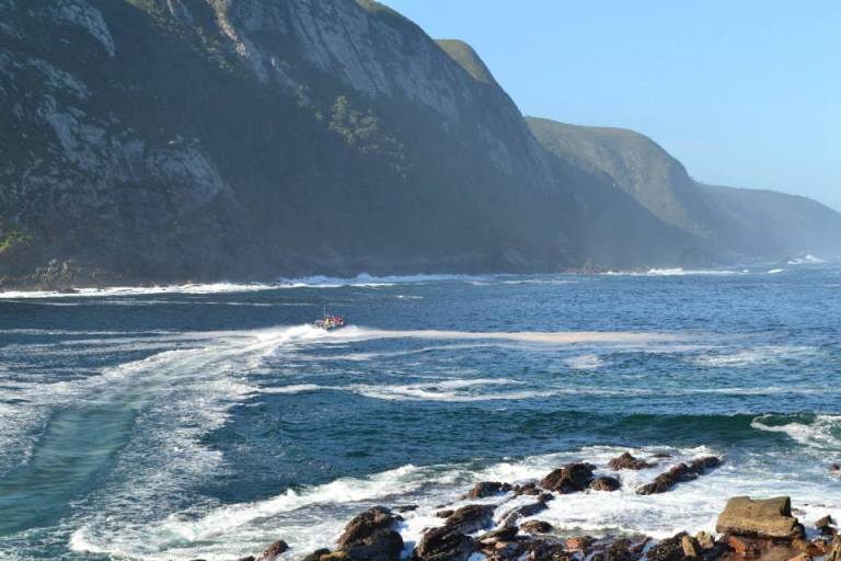 11221352_10207556205570358_5532563364842477779_n